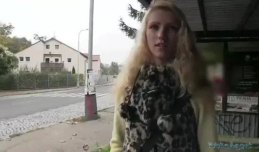 Повелась на бабки и дала пикаперу трахнуть себя возле железной дороги