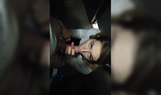 Девке приспичило трахаться и она заманила мужика в толчок торгового центра